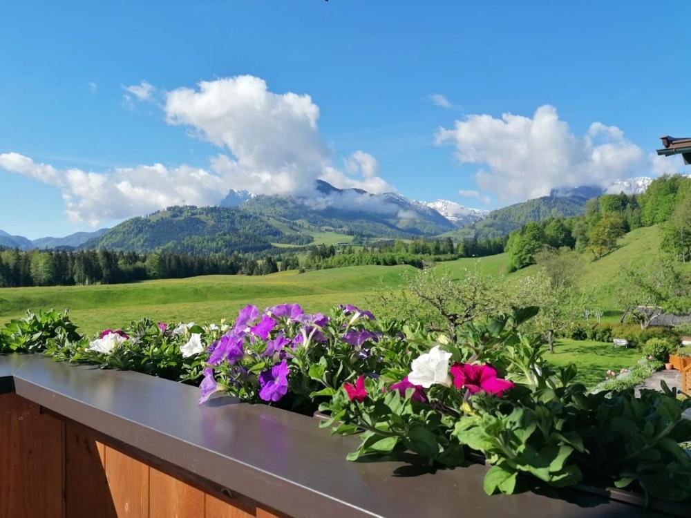 Landhaus Bergblick Kössen Extérieur photo